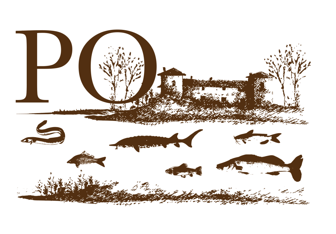 logoconvegnopolesine