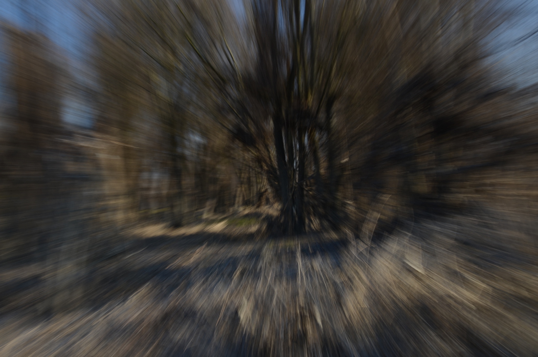 webzibellozoomvegetazione luca