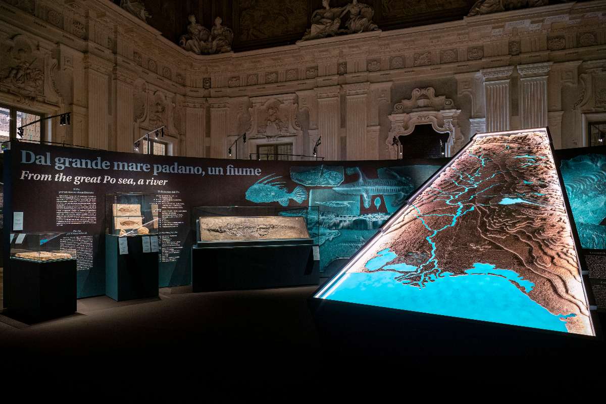 FTM Palazzo Madama CHANGE setup ph Perottino 002 1